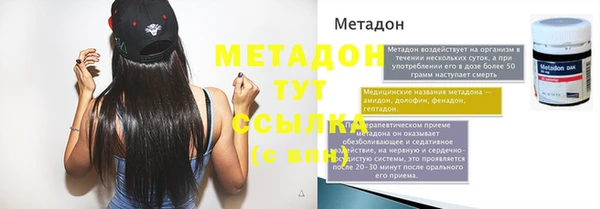прущие грибы Белокуриха