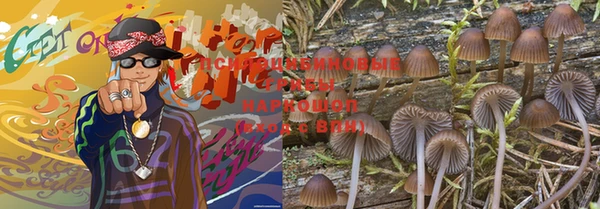 apvp Баксан