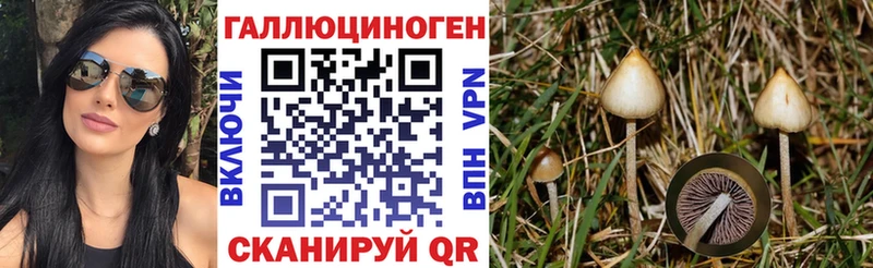 Псилоцибиновые грибы мицелий  даркнет сайт  omg ONION  Обь 